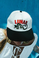 VENOM 5 PANEL