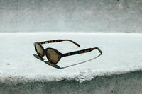 LORNE FRAME - TORTOISESHELL BROWN