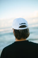 SAVE THE TURTLES 6 PANEL