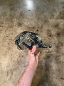 CHAOS CAMO 5 PANEL