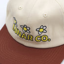 SUNNY DAYZ 6 PANEL