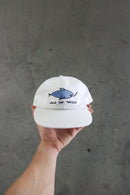 SAVE THE TURTLES 6 PANEL