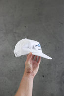 SAVE THE TURTLES 6 PANEL