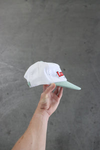 TORQUAY PALM 6 PANEL