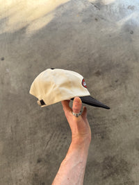 BURNT OUT 6 PANEL