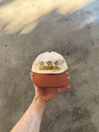 SUNNY DAYZ 6 PANEL