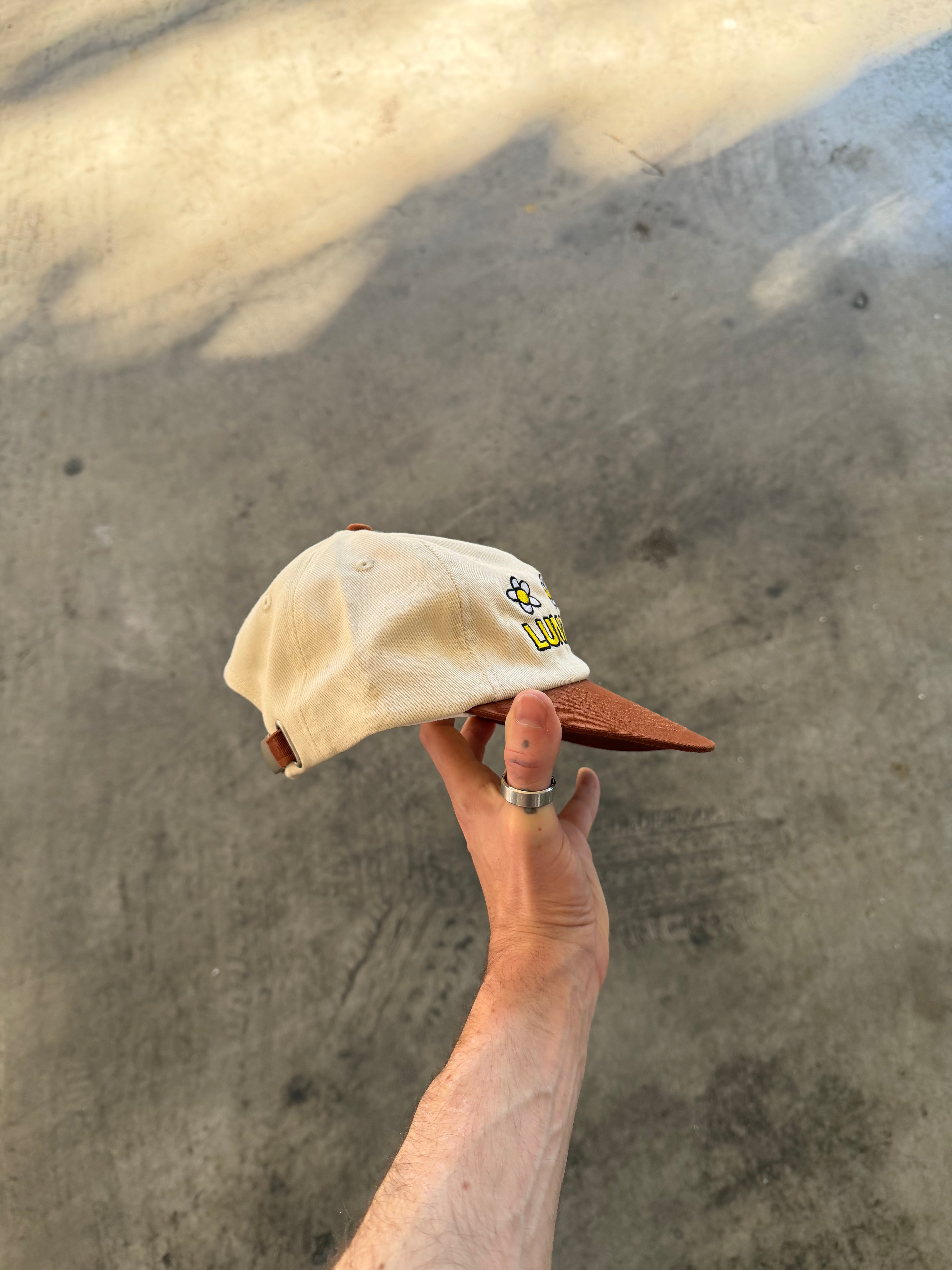 SUNNY DAYZ 6 PANEL
