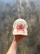 SCREAMER 6 PANEL
